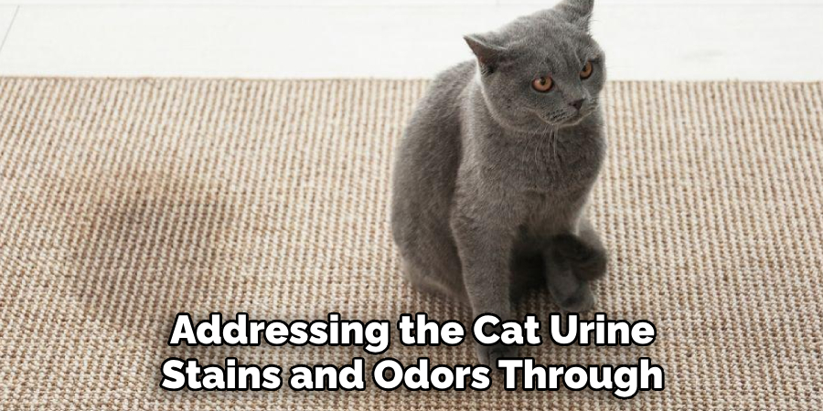 Addressing the Cat Urine Stains and Odors Through