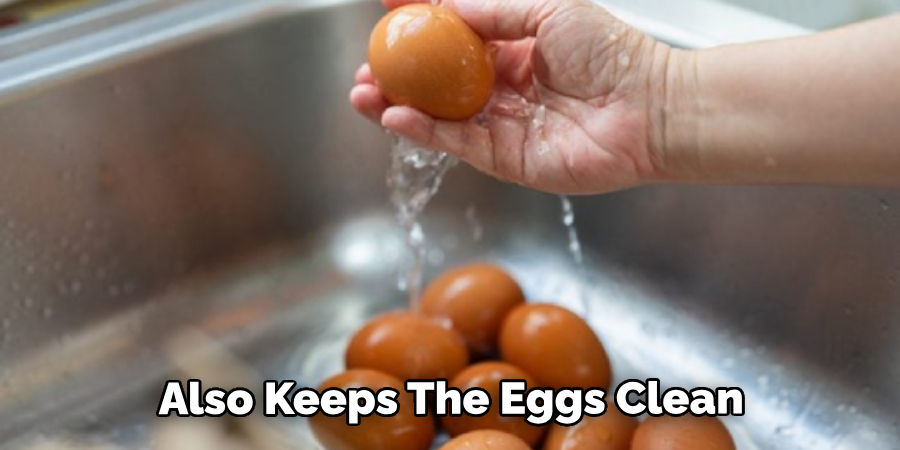 Also Keeps the Eggs Clean