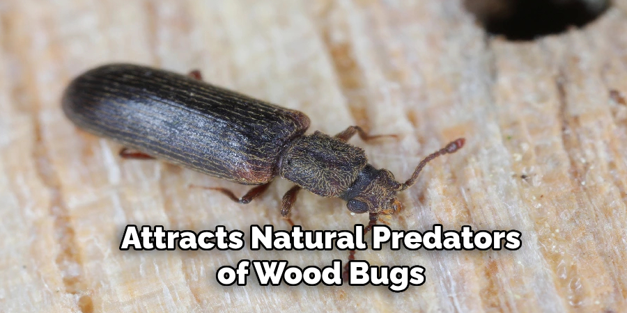 Attracts Natural Predators of Wood Bugs