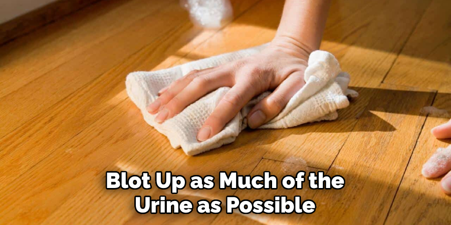 Blot Up as Much of the Urine as Possible