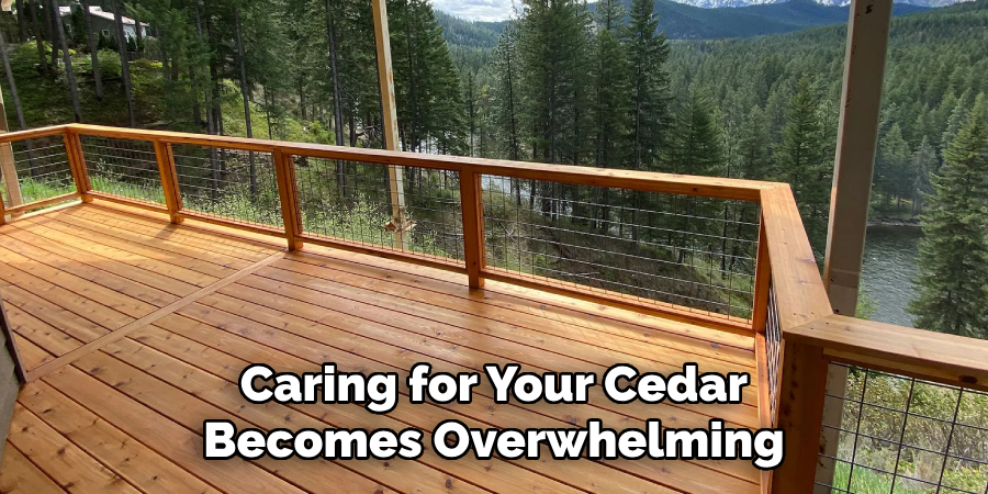 Caring for Your Cedar Becomes Overwhelming