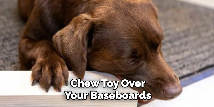 Chew Toy Over Your Baseboards