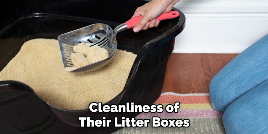 Cleanliness of Their Litter Boxes