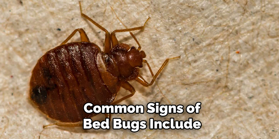 Common Signs of Bed Bugs Include