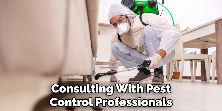 Consulting With Pest Control Professionals