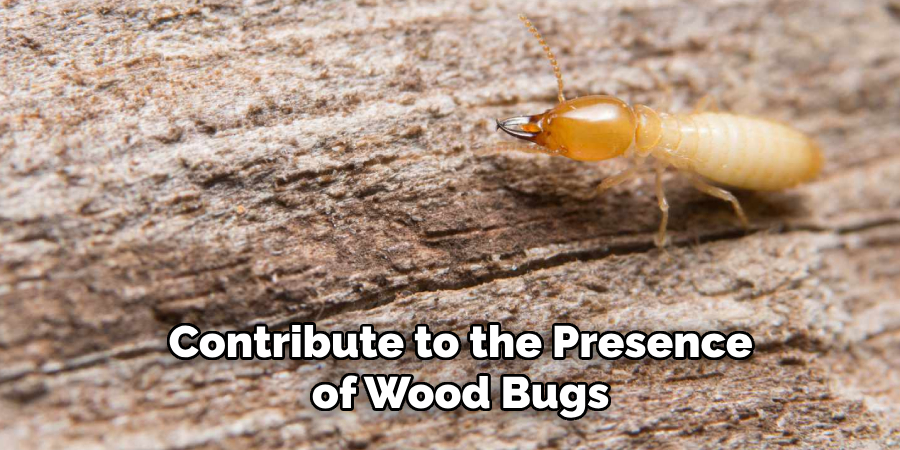 Contribute to the Presence of Wood Bugs