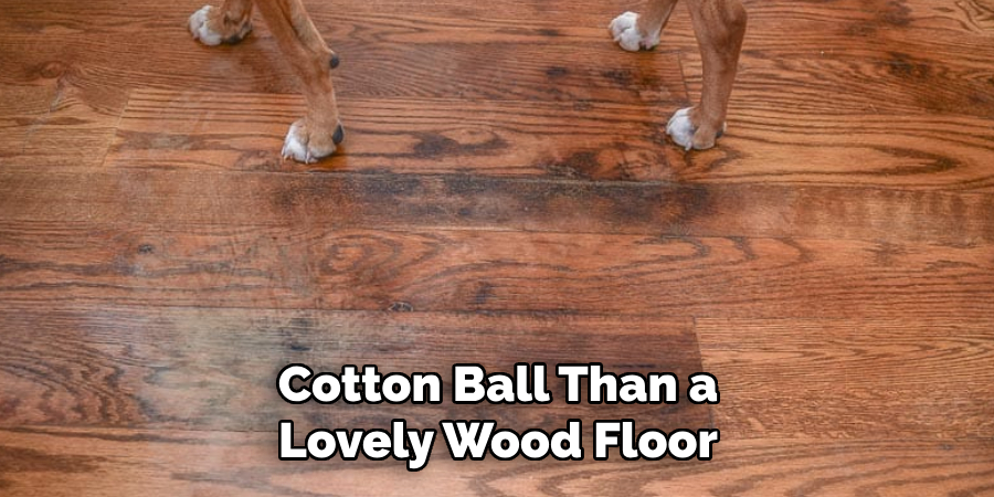 Cotton Ball Than a Lovely Wood Floor