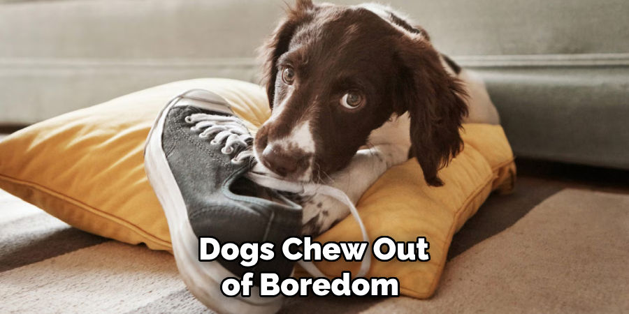 Dogs Chew Out of Boredom 