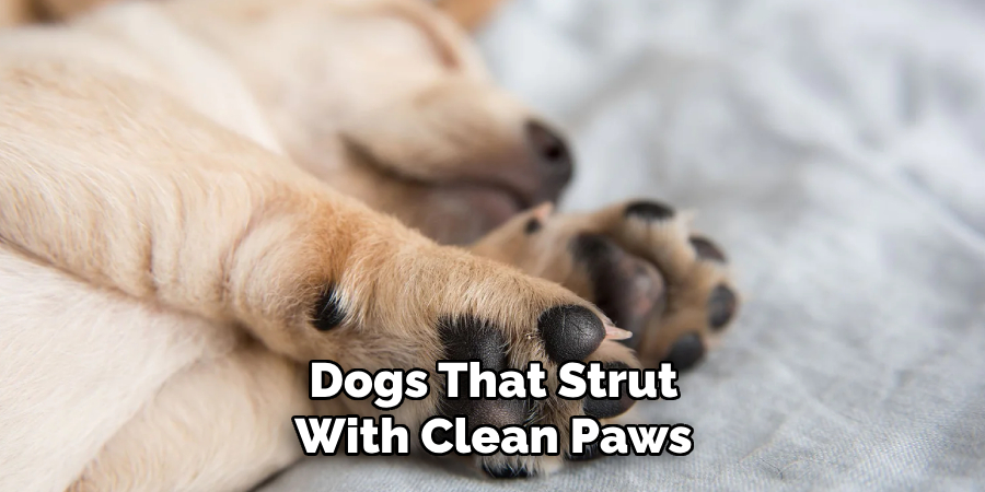 Dogs That Strut With Clean Paws