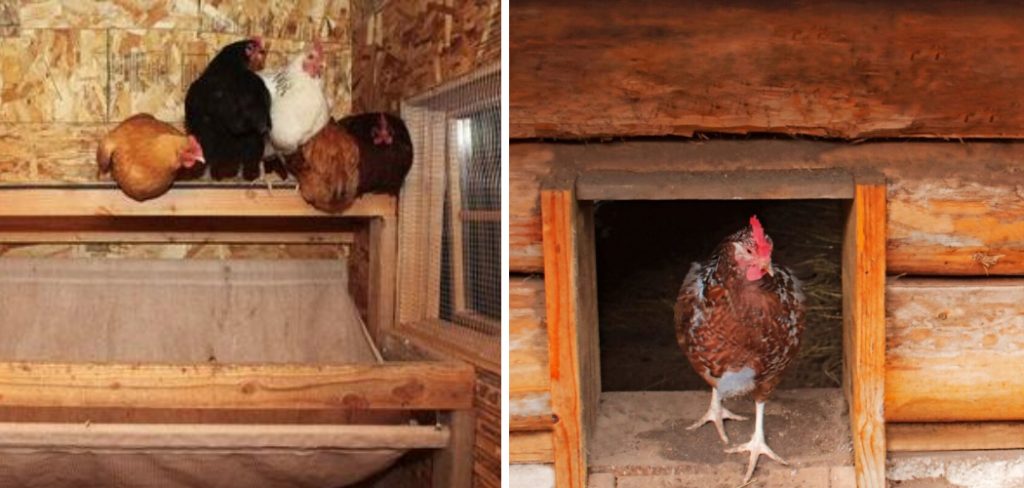 How to Disinfect a Wooden Chicken Coop