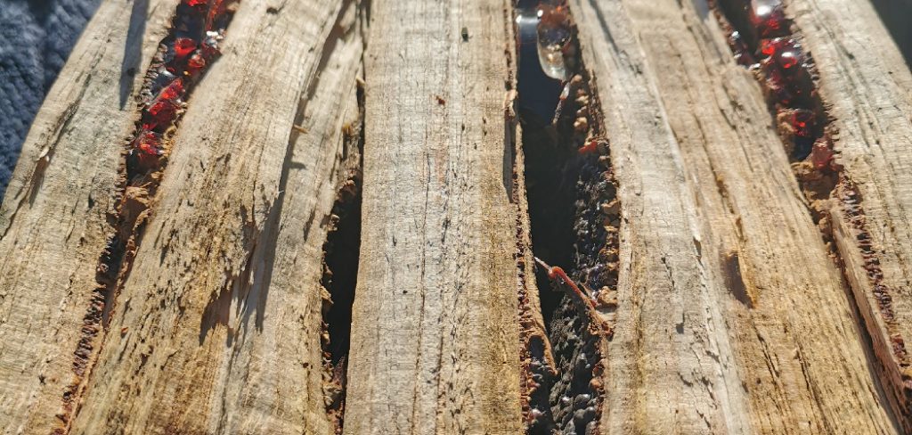 How to Dry Wood Slabs