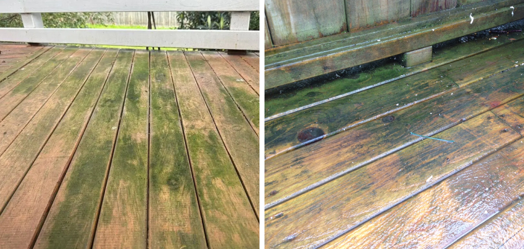 How to Get Rid of Green Mold on Wood Deck