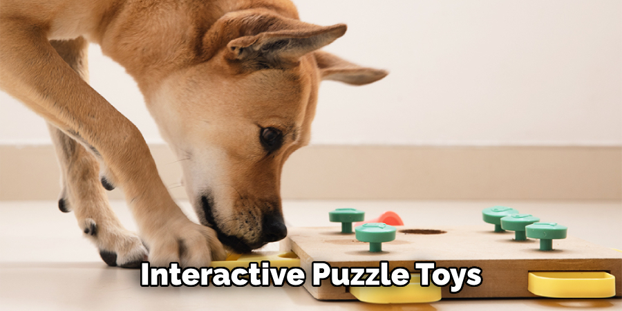 Interactive Puzzle Toys