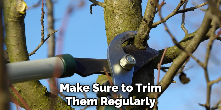 Make Sure to Trim Them Regularly