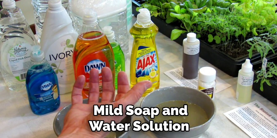 Mild Soap and Water Solution