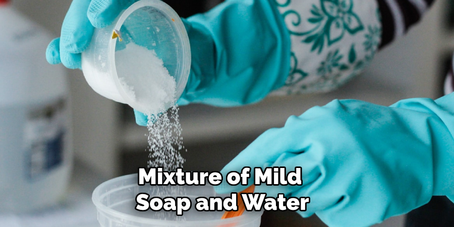 Mixture of Mild Soap and Water