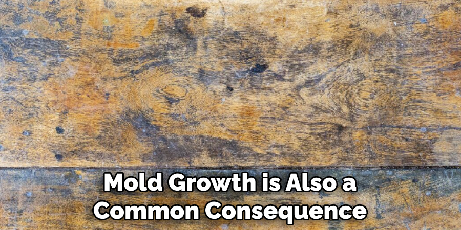 Mold Growth is Also a Common Consequence