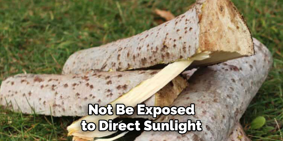 Not Be Exposed to Direct Sunlight