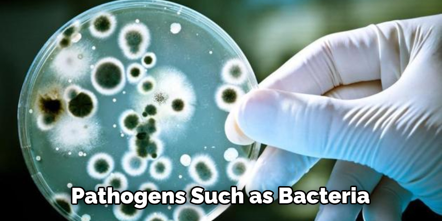 Pathogens Such as Bacteria