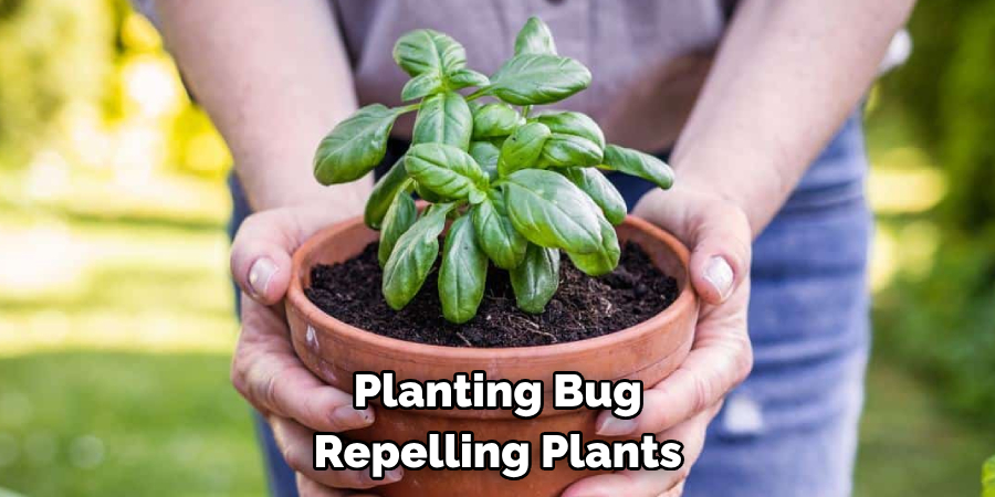 Planting Bug Repelling Plants