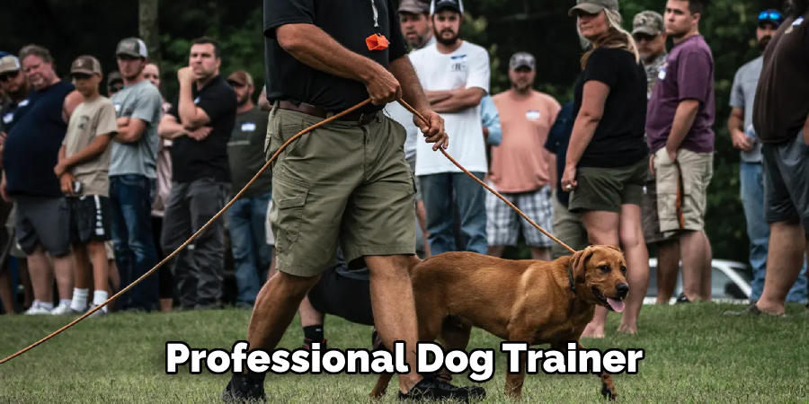 Professional Dog Trainer 