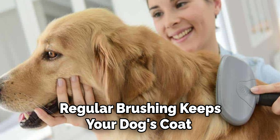 Regular Brushing Keeps Your Dog's Coat 