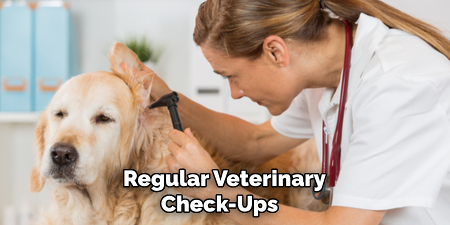 Regular Veterinary Check-ups 