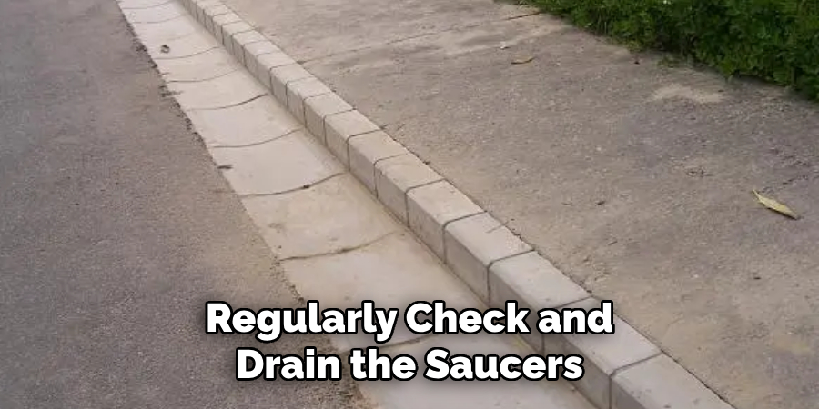 Regularly Check and Drain the Saucers