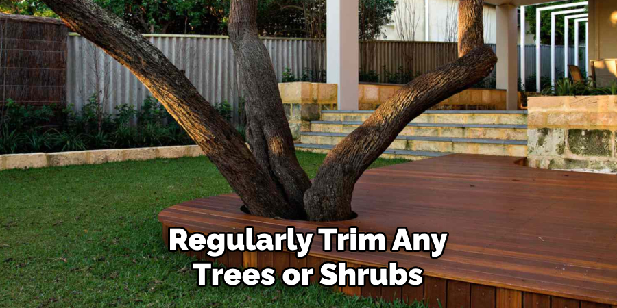 Regularly Trim Any Trees or Shrubs