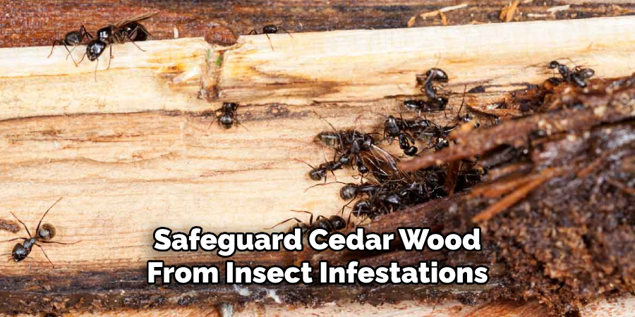 Safeguard Cedar Wood From Insect Infestations