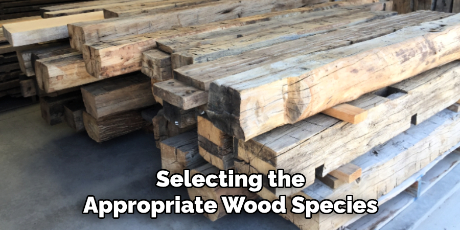 Selecting the Appropriate Wood Species