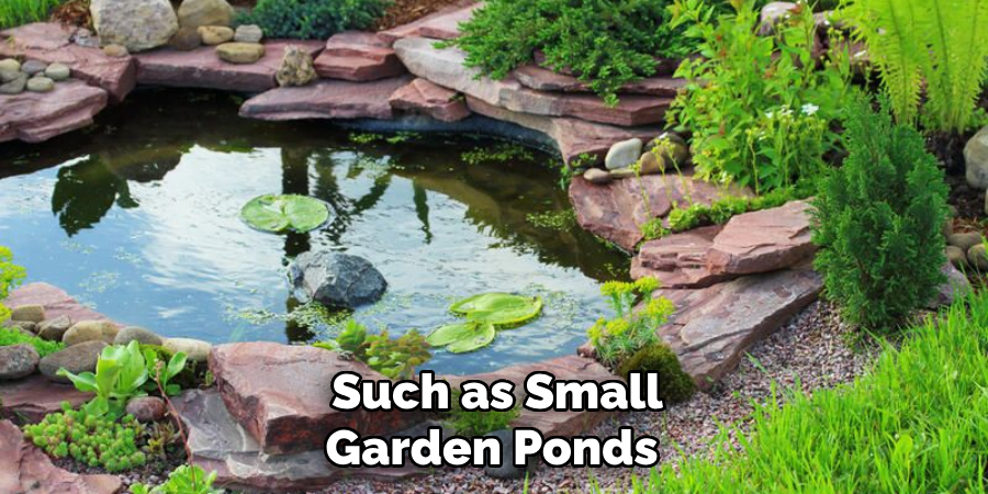 Such as Small Garden Ponds 