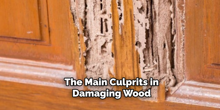 The Main Culprits in Damaging Wood