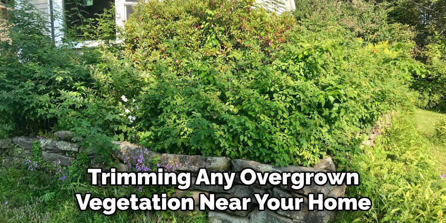 Trimming Any Overgrown Vegetation Near Your Home