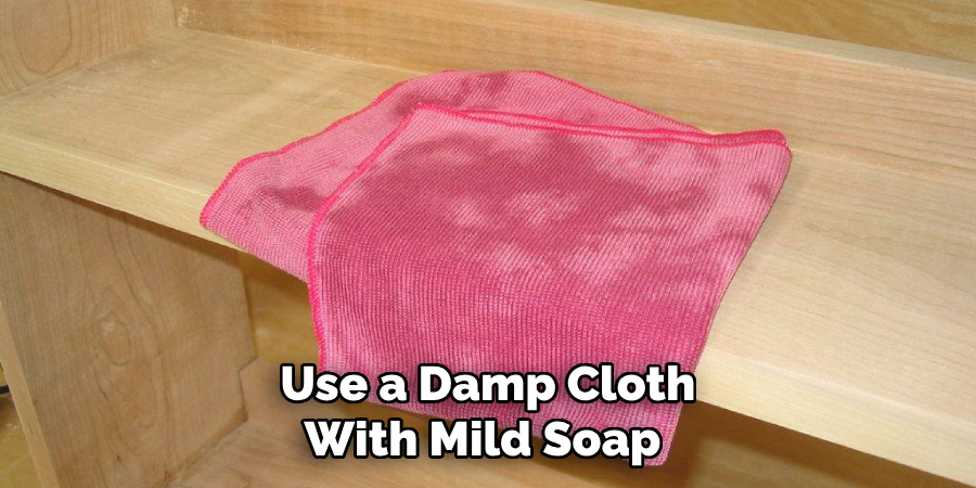  Use a Damp Cloth With Mild Soap