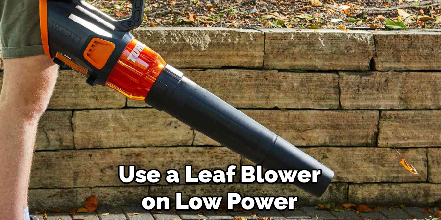 Use a Leaf Blower on Low Power