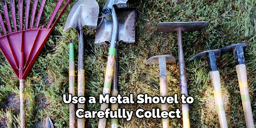 Use a Metal Shovel to Carefully Collect