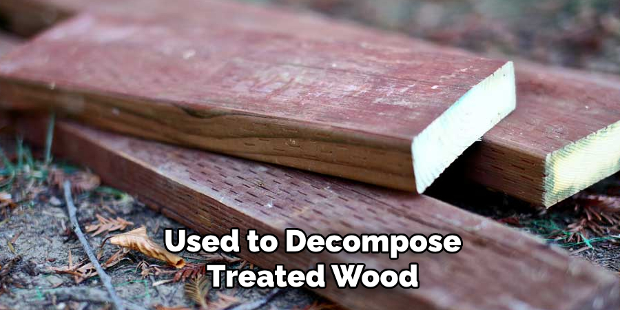 Used to Decompose Treated Wood