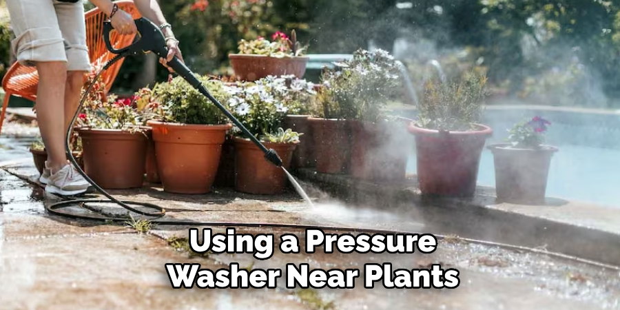 Using a Pressure Washer Near Plants