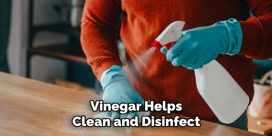 Vinegar Helps Clean and Disinfect