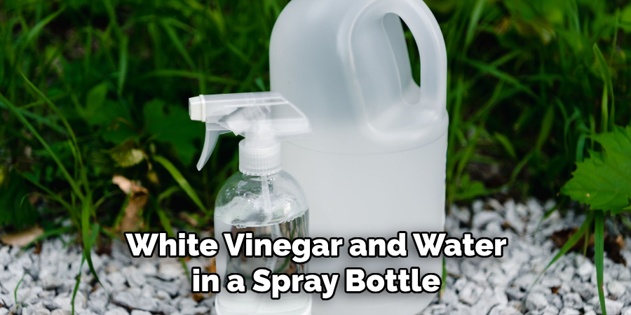 White Vinegar and Water in a Spray Bottle