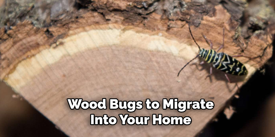 Wood Bugs to Migrate Into Your Home