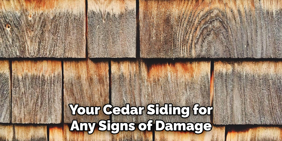 Your Cedar Siding for Any Signs of Damage