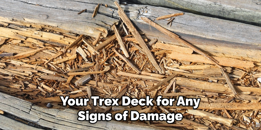 Your Trex Deck for Any Signs of Damage