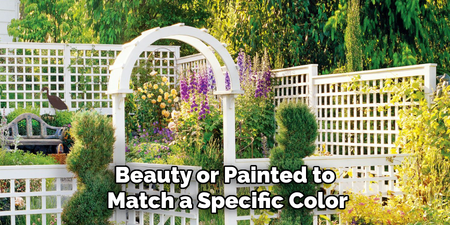 Beauty or Painted to Match a Specific Color