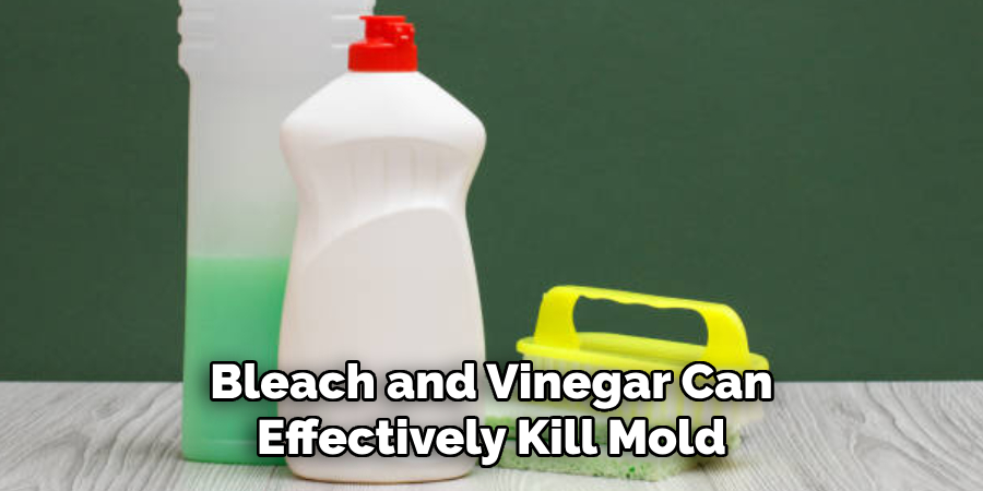 Bleach and Vinegar Can Effectively Kill Mold