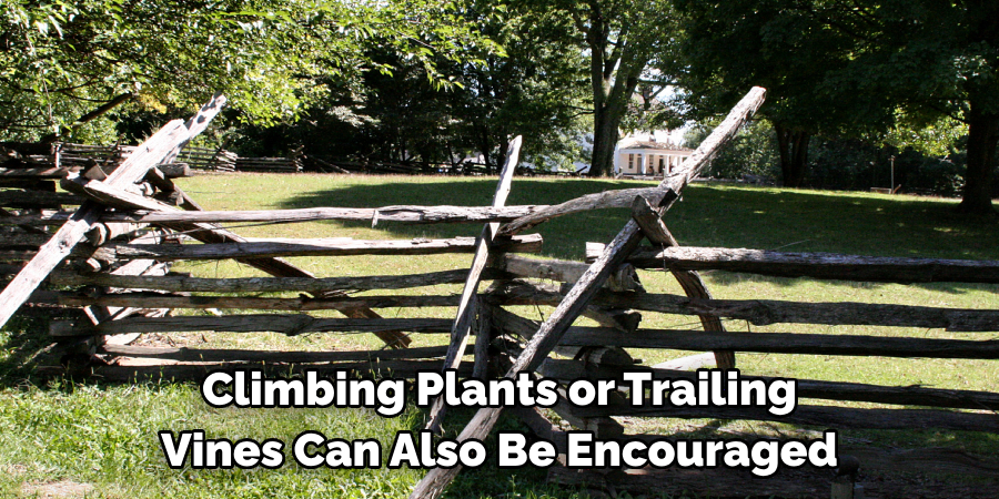 Climbing Plants or Trailing Vines Can Also Be Encouraged