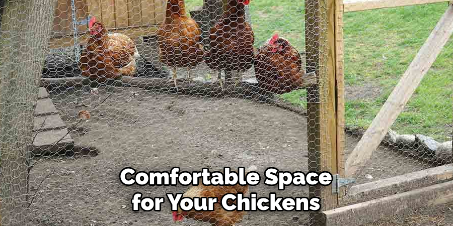 Comfortable Space for Your Chickens