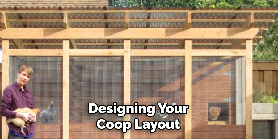 Designing Your Coop Layout