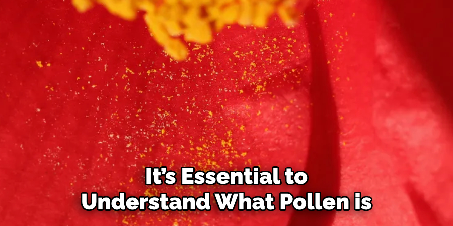 It’s Essential to Understand What Pollen is